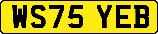 WS75YEB