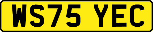WS75YEC