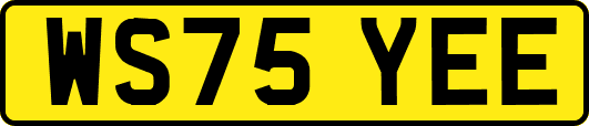 WS75YEE