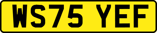 WS75YEF