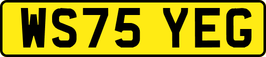 WS75YEG