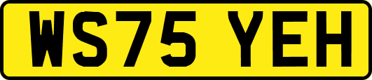 WS75YEH