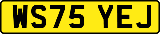WS75YEJ