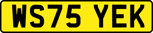 WS75YEK