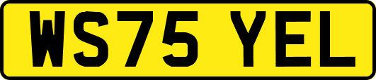 WS75YEL