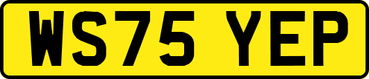WS75YEP