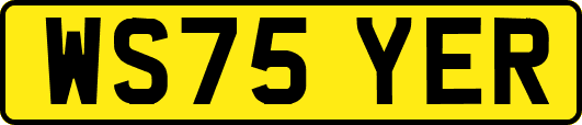 WS75YER