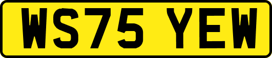 WS75YEW