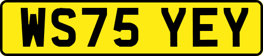 WS75YEY