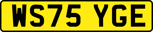 WS75YGE