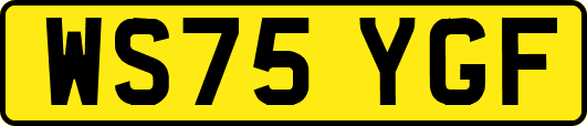 WS75YGF