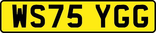 WS75YGG