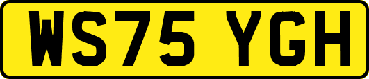WS75YGH