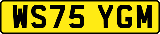 WS75YGM