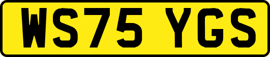 WS75YGS