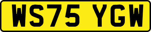 WS75YGW