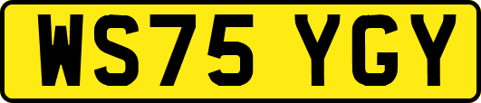 WS75YGY