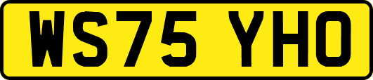 WS75YHO