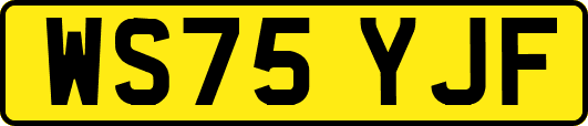 WS75YJF
