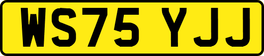 WS75YJJ