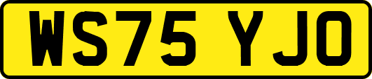WS75YJO