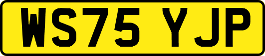 WS75YJP