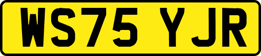 WS75YJR