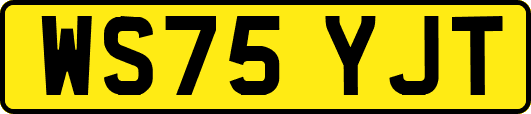 WS75YJT
