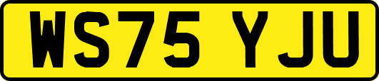 WS75YJU