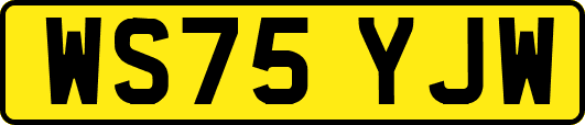 WS75YJW