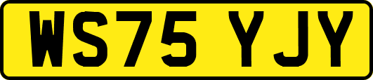 WS75YJY