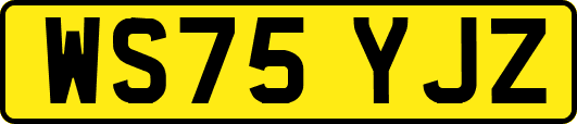 WS75YJZ