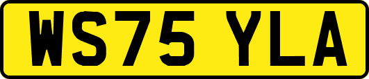 WS75YLA