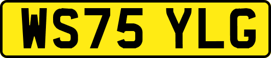 WS75YLG