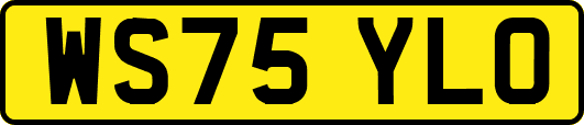 WS75YLO