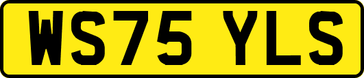 WS75YLS