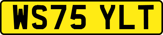 WS75YLT