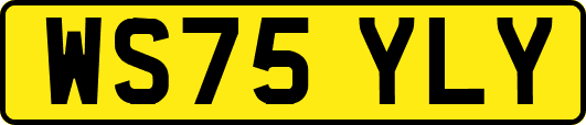 WS75YLY