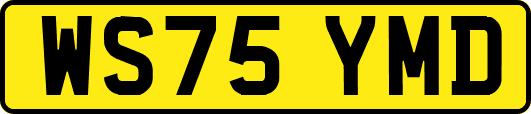 WS75YMD