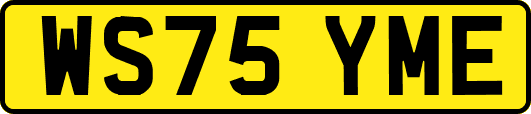 WS75YME