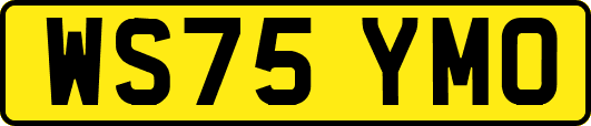 WS75YMO