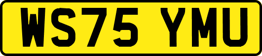WS75YMU