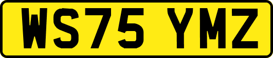 WS75YMZ