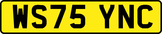 WS75YNC