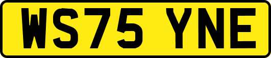 WS75YNE