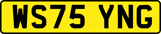 WS75YNG