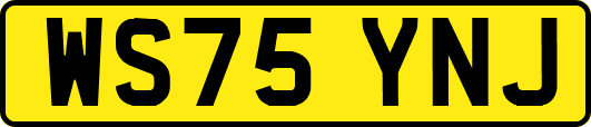 WS75YNJ