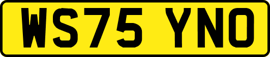 WS75YNO