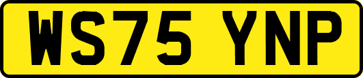 WS75YNP