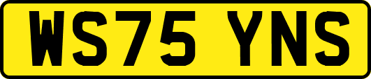 WS75YNS